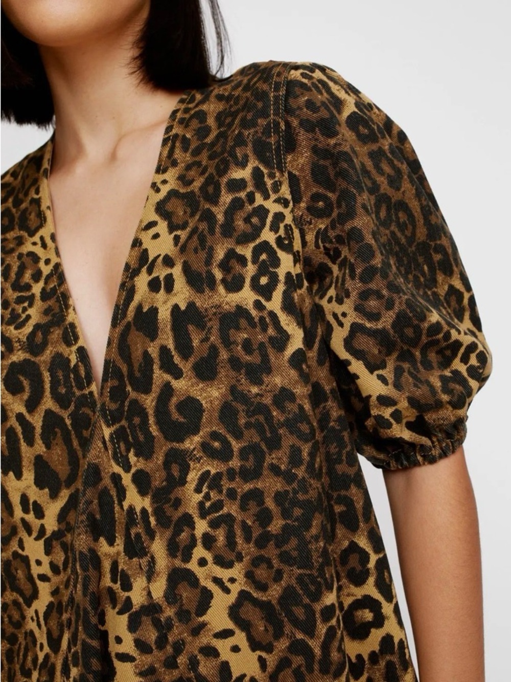 Nasty Gal Leopard Print V-Neck Puff Sleeve Dress
